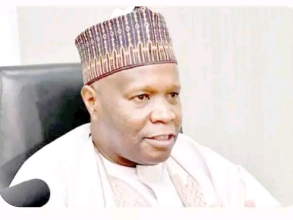 Gombe: Frightening Human Rights Violations Must Be Investigated